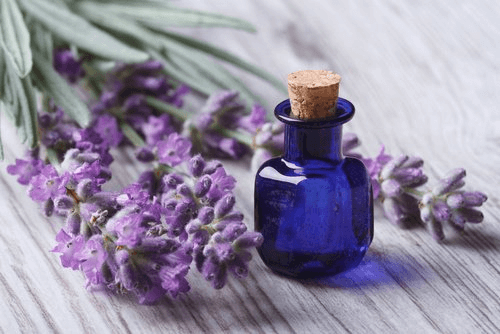Lavender cream to have a soft skin