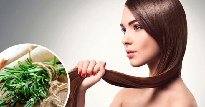 Herbs and spices that promote hair growth