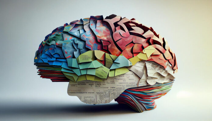 Cognitive Function