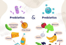 what are probiotics and prebiotics