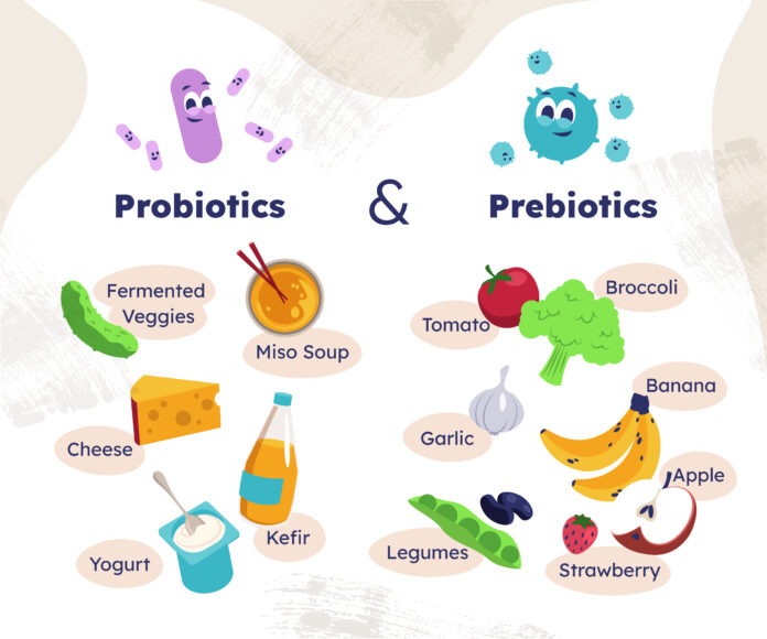 what are probiotics and prebiotics