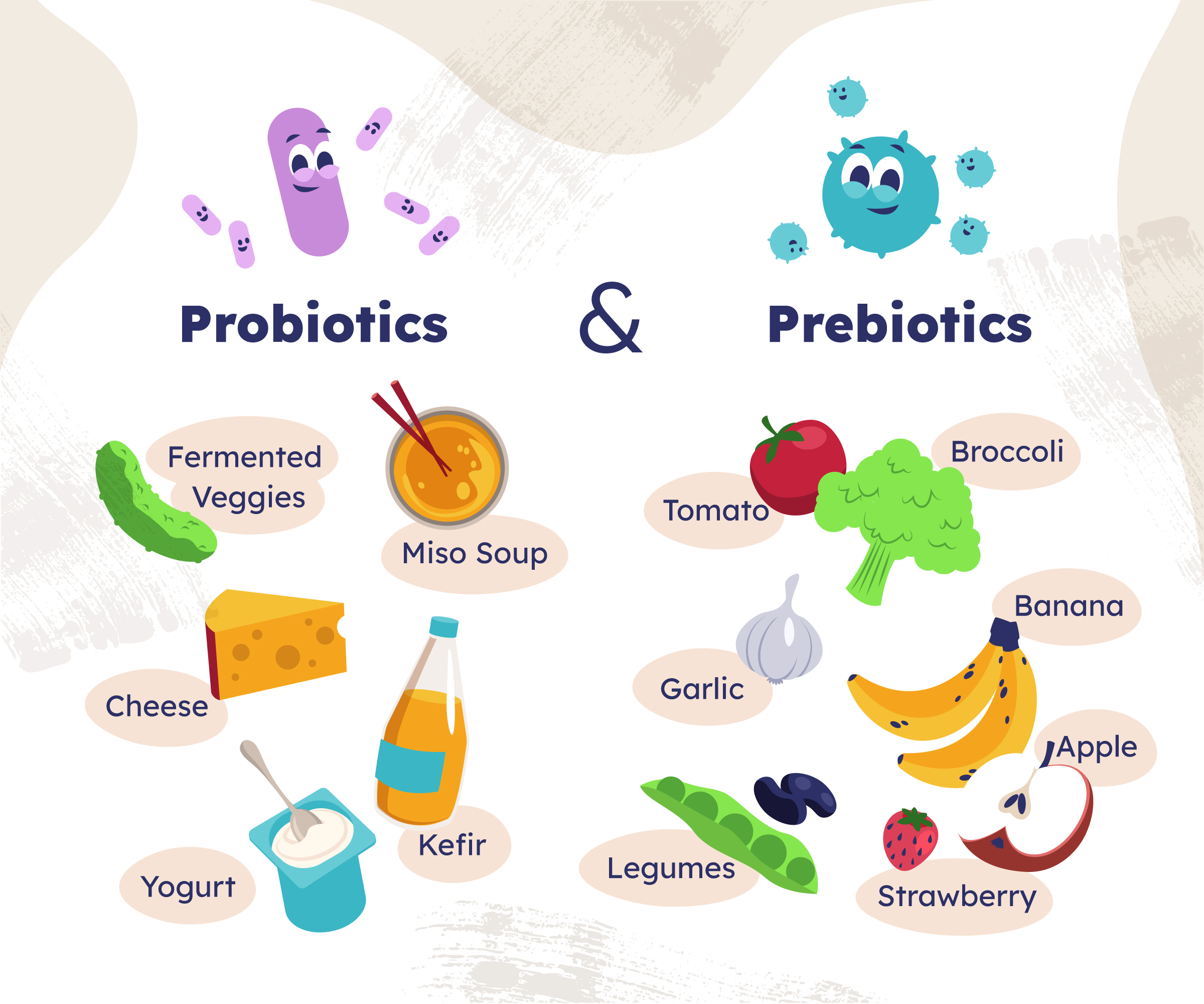 What Are Probiotics And Prebiotics?