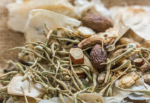 Organic Adaptogen