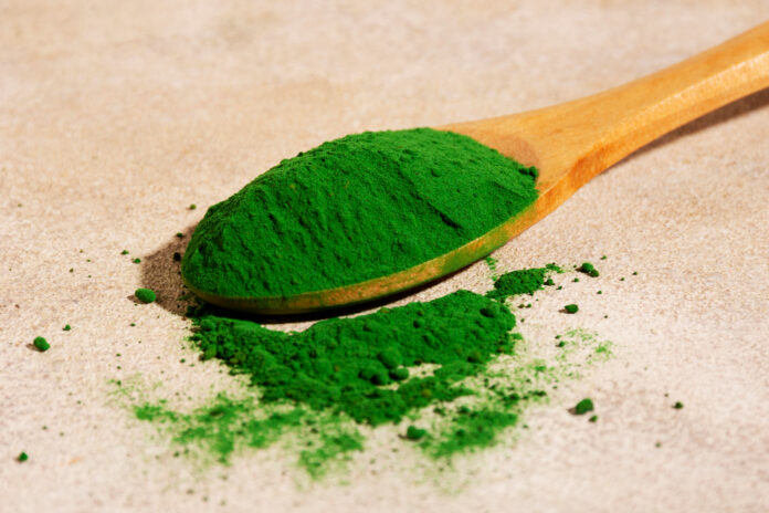 Superfood Powders